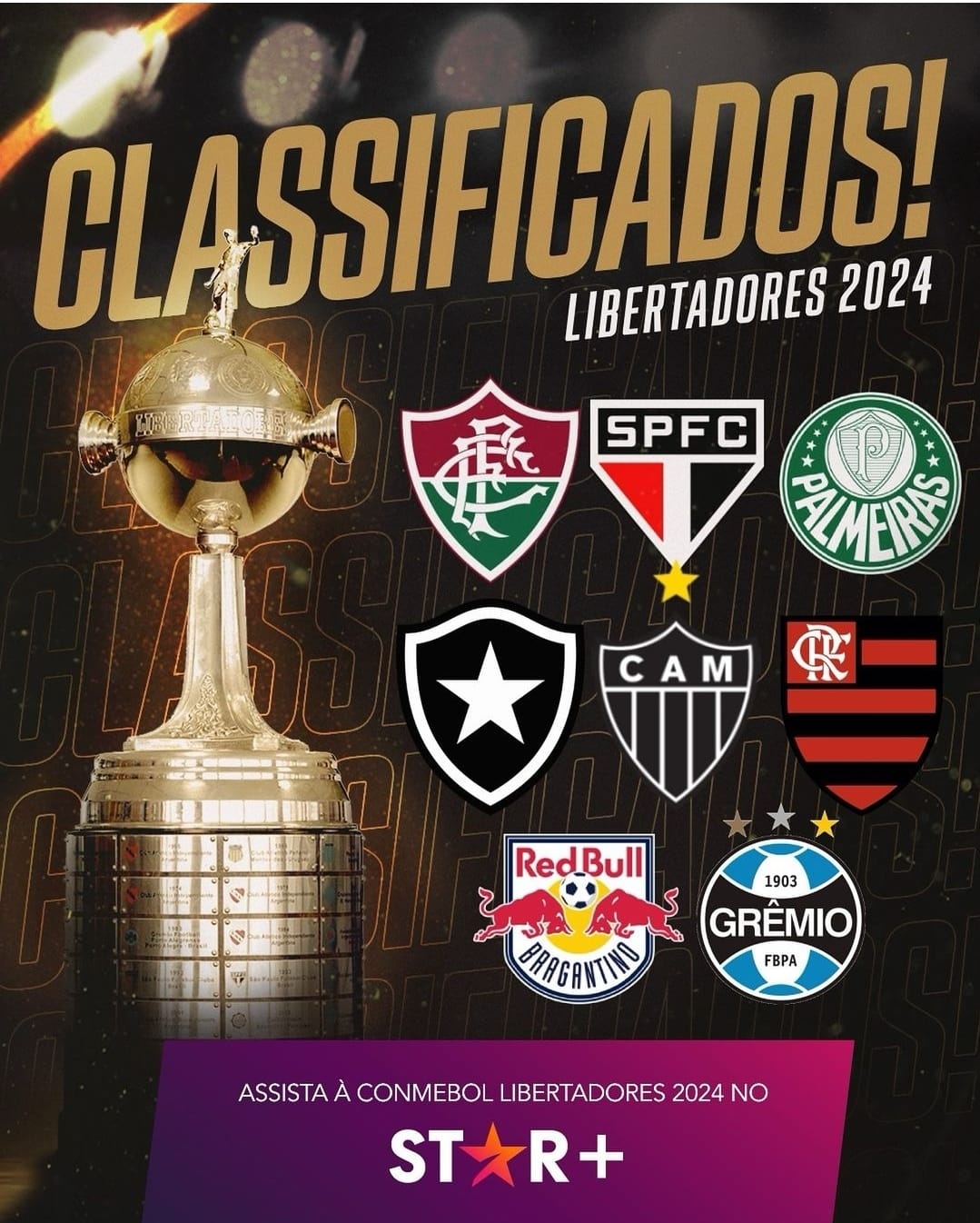 VEJA OS CLASSIFICADOS PARA A LIBERTADORES 2024